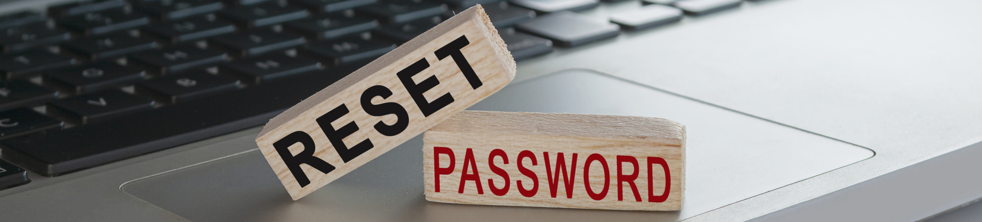 Reset password image