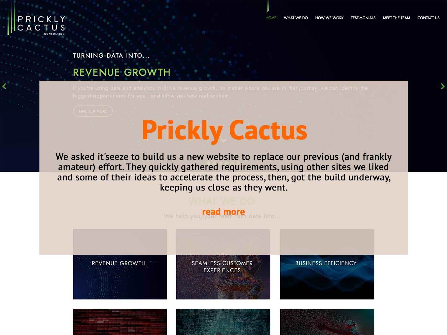 the prickly cactus website